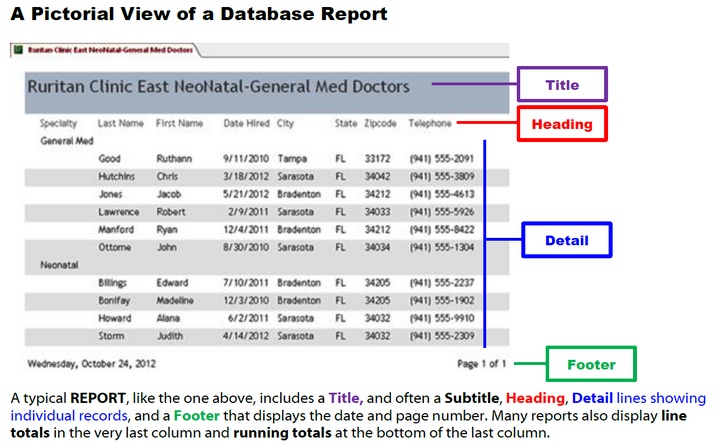 A Database Report displays summarized data